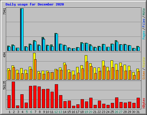 Daily usage for December 2020