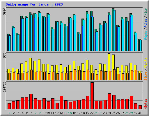 Daily usage for January 2023