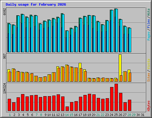 Daily usage for February 2026