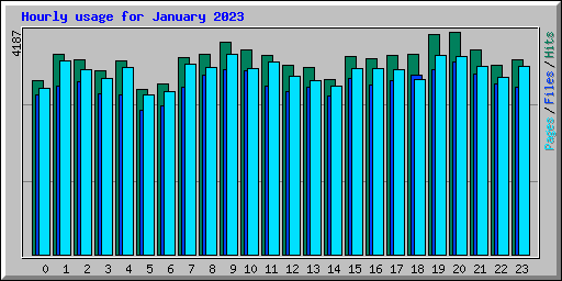 Hourly usage for January 2023