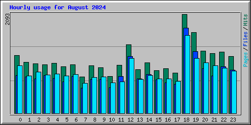 Hourly usage for August 2024
