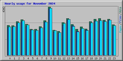 Hourly usage for November 2024