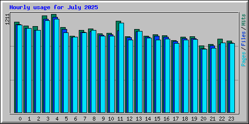 Hourly usage for July 2025