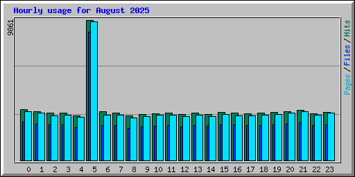 Hourly usage for August 2025