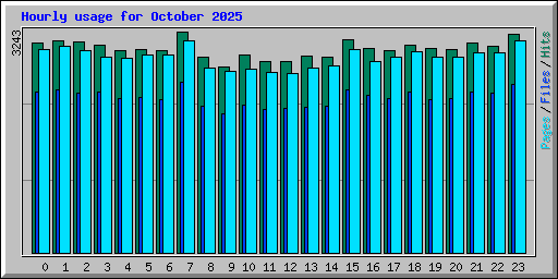 Hourly usage for October 2025
