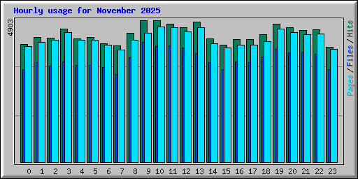Hourly usage for November 2025