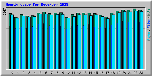 Hourly usage for December 2025