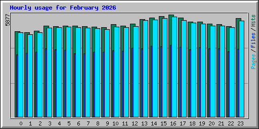 Hourly usage for February 2026